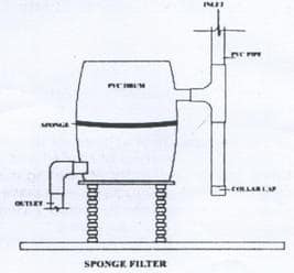 methodology of rain water harvesting